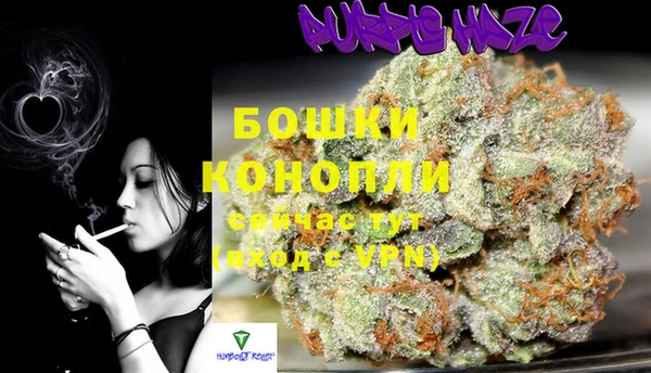гидра Абаза