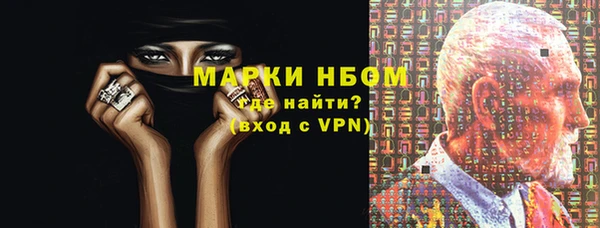 гидра Абаза